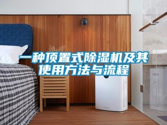 行业新闻一种顶置式除湿机及其使用方法与流程