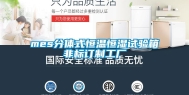 mes分体式恒温恒湿试验箱非标订制工厂