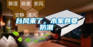 台风来了，木家具要防潮