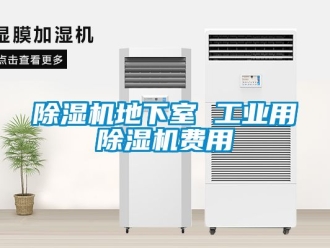 常见问题除湿机地下室 工业用除湿机费用