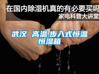 知识百科武汉 高温.步入式恒温恒湿箱