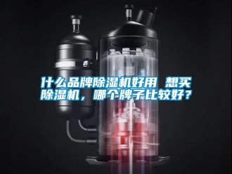 企业新闻什么品牌除湿机好用 想买除湿机，哪个牌子比较好？