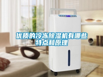 知识百科优质的冷冻除湿机有哪些特点和原理