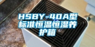 HSBY-40A型标准恒温恒湿养护箱