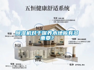 行业新闻除湿机对于保养木地板有多重要？
