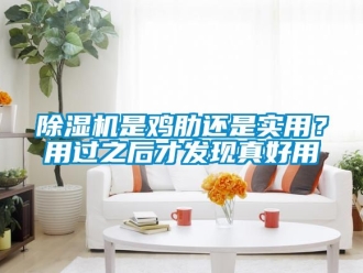 行业新闻除湿机是鸡肋还是实用？用过之后才发现真好用