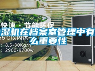 行业新闻除湿机在档案室管理中有什么重要性