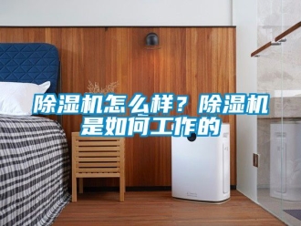 行业新闻除湿机怎么样？除湿机是如何工作的
