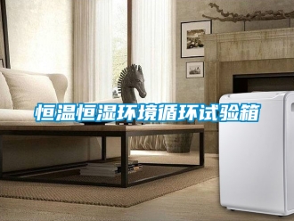 知识百科恒温恒湿环境循环试验箱