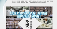 除湿机哪个牌子好 除湿机品牌介绍【详解】