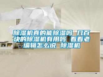 行业新闻除湿机真的能除湿吗 几百块的除湿机有用吗 看看老编辑怎么说 除湿机