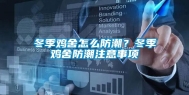 冬季鸡舍怎么防潮？冬季鸡舍防潮注意事项