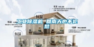 工业除湿机 回南天也不犯愁