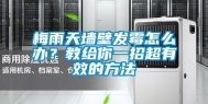 梅雨天墙壁发霉怎么办？教给你一招超有效的方法