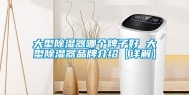 大型除湿器哪个牌子好 大型除湿器品牌介绍【详解】