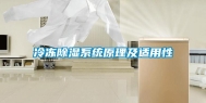 冷冻除湿系统原理及适用性