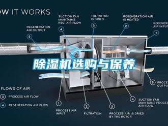 行业新闻除湿机选购与保养