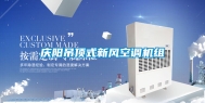 庆阳吊顶式新风空调机组