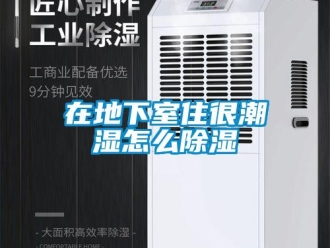 企业新闻在地下室住很潮湿怎么除湿