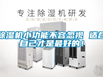 行业新闻除湿机小功能不容忽视 适合自己才是最好的！