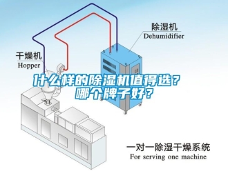 行业新闻什么样的除湿机值得选？ 哪个牌子好？