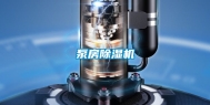 泵房除湿机
