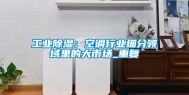 工业除湿：空调行业细分领域里的大市场_重复