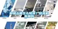 种植大棚怎么除湿？除湿机有用吗