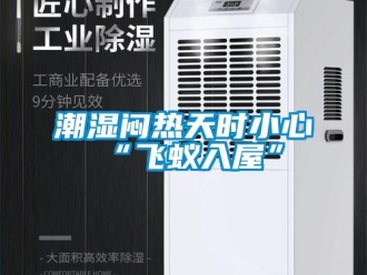 企业新闻潮湿闷热天时小心“飞蚁入屋”