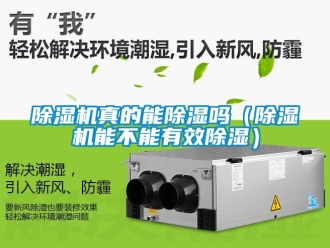 行业新闻除湿机真的能除湿吗（除湿机能不能有效除湿）