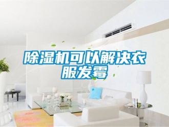 行业新闻除湿机可以解决衣服发霉