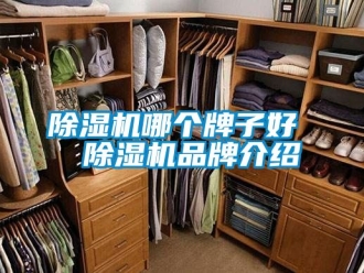 企业新闻除湿机哪个牌子好  除湿机品牌介绍