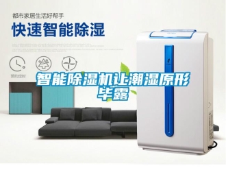 知识百科智能除湿机让潮湿原形毕露