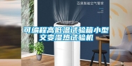 可编程高低温试验箱小型交变湿热试验机
