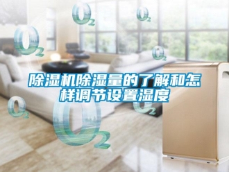 常见问题除湿机除湿量的了解和怎样调节设置湿度