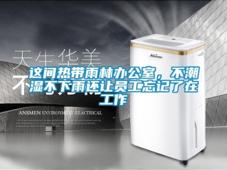 知识百科这间热带雨林办公室，不潮湿不下雨还让员工忘记了在工作