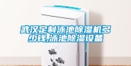 武汉定制泳池除湿机多少钱,泳池除湿设备