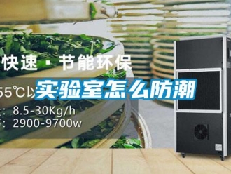 常见问题实验室怎么防潮