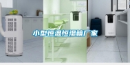 小型恒温恒湿箱厂家