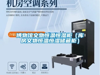 知识百科博物馆文物恒温恒湿柜（库房文物恒温恒湿储藏柜）