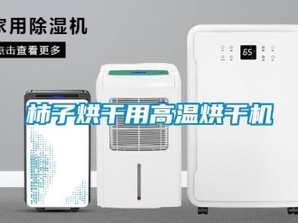 知识百科柿子烘干用高温烘干机