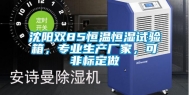 沈阳双85恒温恒湿试验箱，专业生产厂家，可非标定做