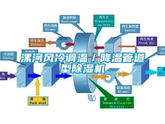 行业新闻漯河风冷调温／降温管道型除湿机
