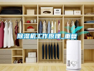 行业新闻除湿机工作原理_重复