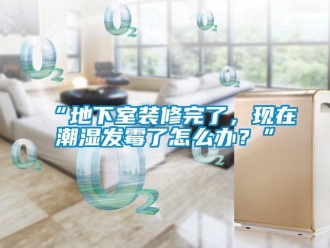 企业新闻“地下室装修完了，现在潮湿发霉了怎么办？”