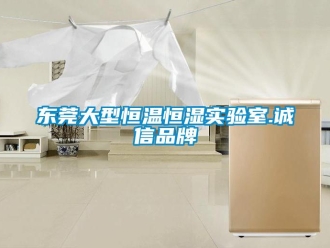 知识百科东莞大型恒温恒湿实验室.诚信品牌