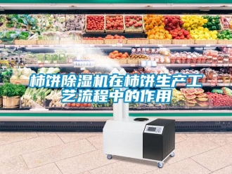 知识百科柿饼除湿机在柿饼生产工艺流程中的作用