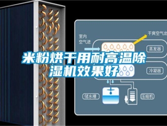 行业新闻米粉烘干用耐高温除湿机效果好