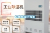 甘肃除湿干燥机