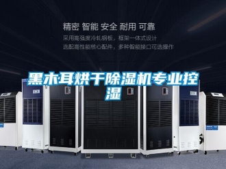 行业新闻黑木耳烘干除湿机专业控湿